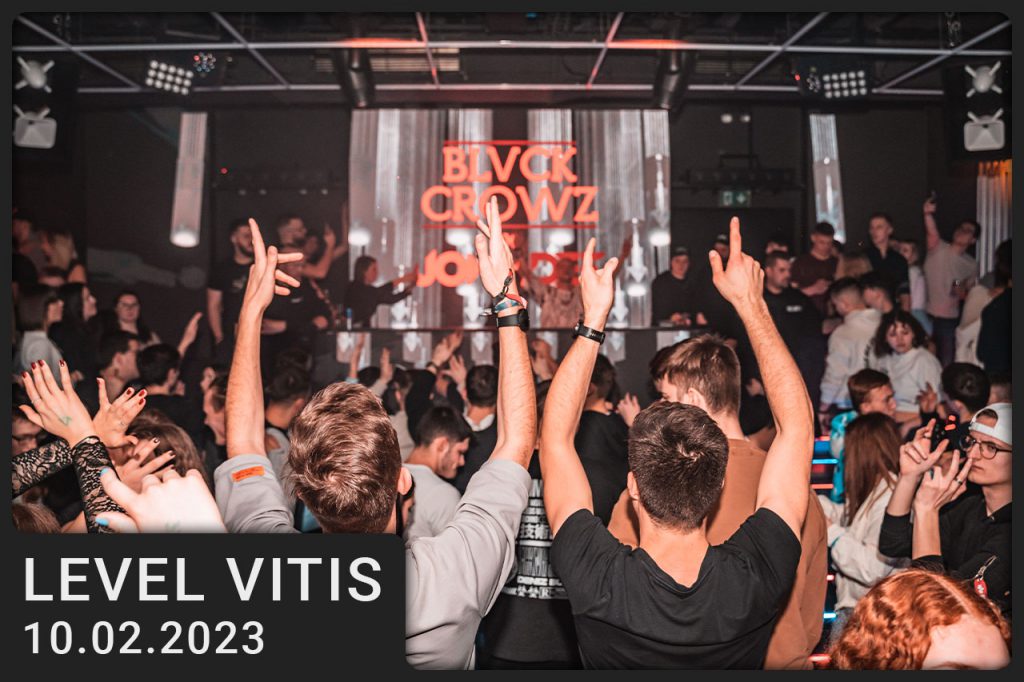 2023-02-10 Level Vitis